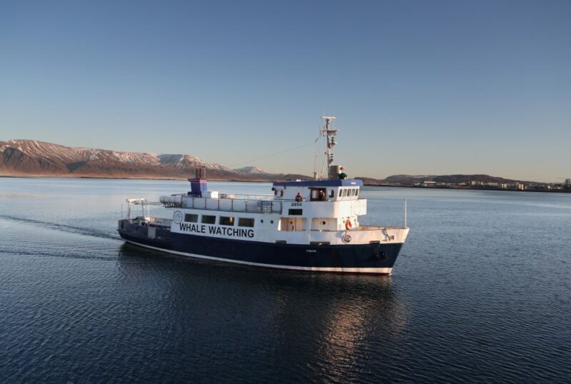 From Reykjavik: New Years Fireworks by Boat - The Authenticity and Value