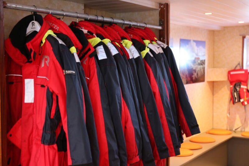 From Reykjavik: Northern Lights Boat Cruise - Key Points