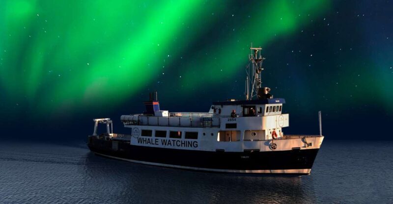 From Reykjavik: Northern Lights Sightseeing Cruise - Final Thoughts