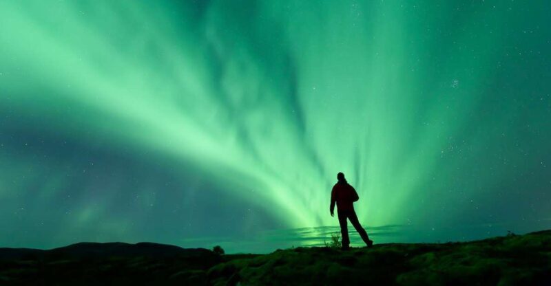 From Reykjavik: Northern Lights Tour - What to Expect on the Tour