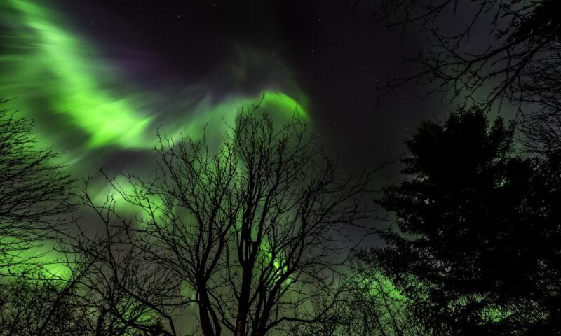 From Reykjavik: Northern Lights Tour with Lifetime Guarantee - What Makes This Tour Stand Out?