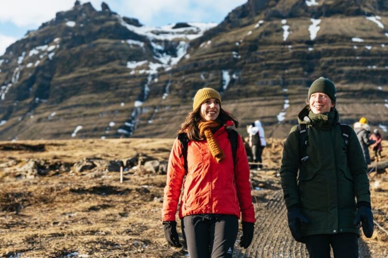 From Reykjavik: Snæfellsnes Peninsula Full-Day Tour - Analyzing the Price and Overall Value