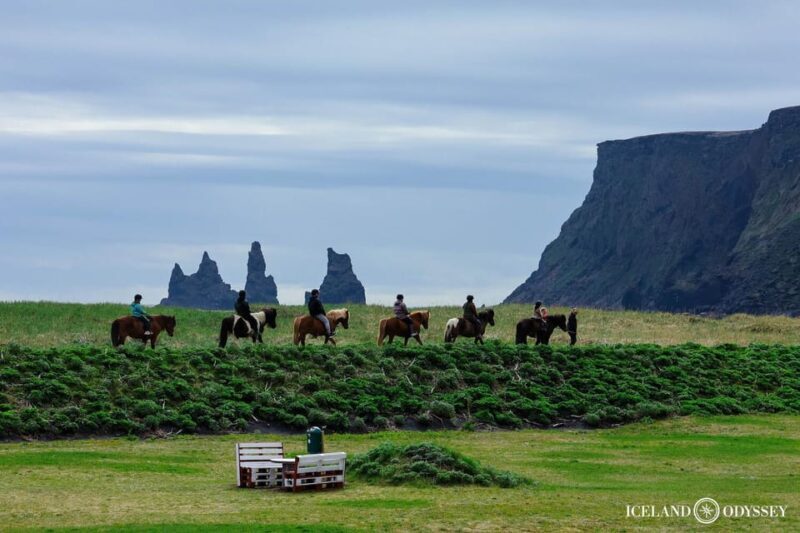 From Reykjavik: South Coast and Glacier Hiking Private Tour - FAQ