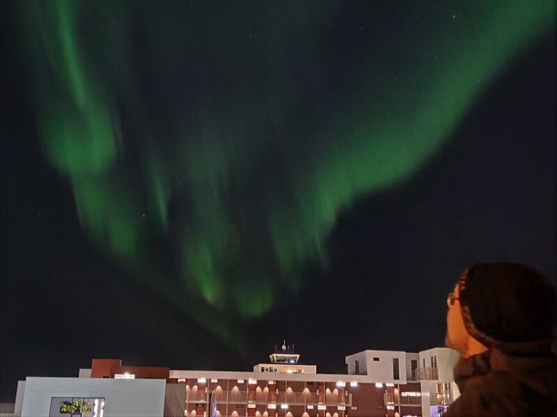 From Reykjavík: Spot the Northern Lights with Snacks & Drink - Final Thoughts: Is This Tour Right for You?