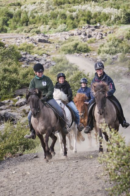 From Reykjavík: Viking Horseback Tour in Hafnarfjörður - An In-Depth Look at the Viking Horseback Tour