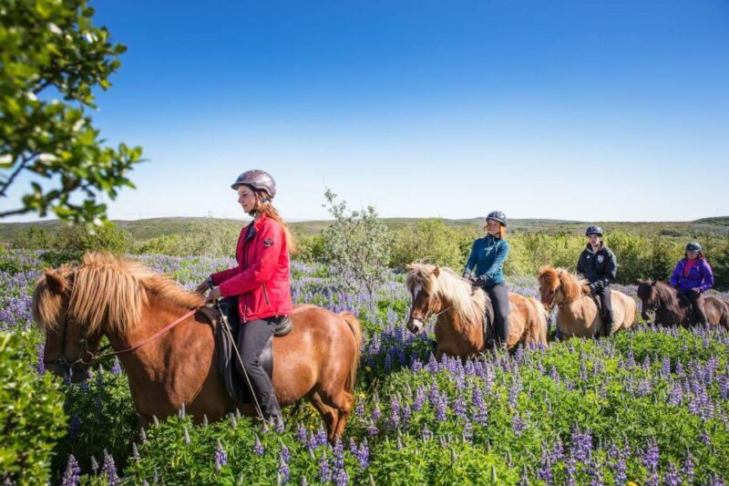 From Reykjavík: Viking Horseback Tour in Hafnarfjörður - Practical Tips for Participants
