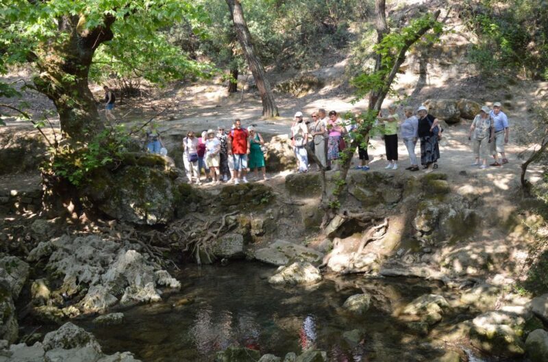 From Rhodes: Bus Tour to Lindos and the Seven Springs - The Value and Who This Tour Suits Best