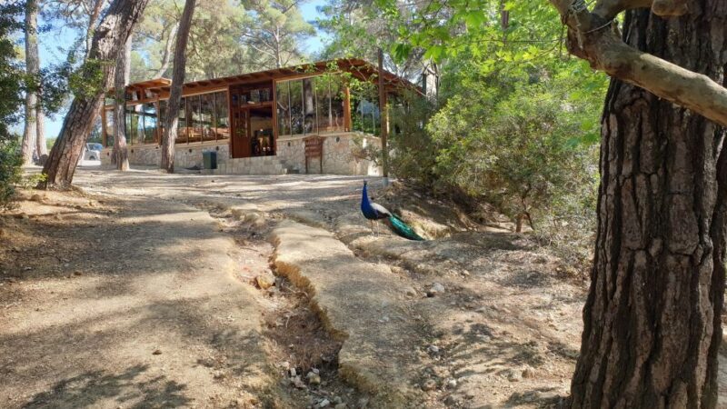 From Rhodes: Lindos and 7 Springs Valley Bus Tour - Key Points