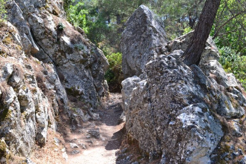 From Rhodes: Lindos and 7 Springs Valley Bus Tour - The Sum Up