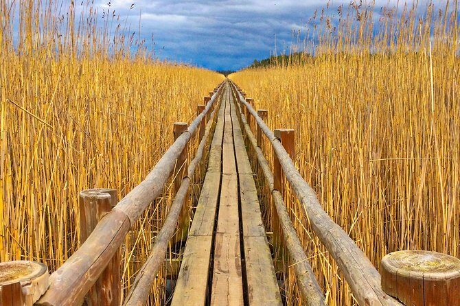 From Riga: Best of Kemeri National Park In One Day - Final Thoughts