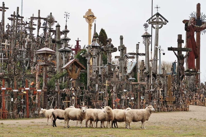From Riga: Hill of Crosses and Jelgava Gems Tour - Why You’ll Love the Experience