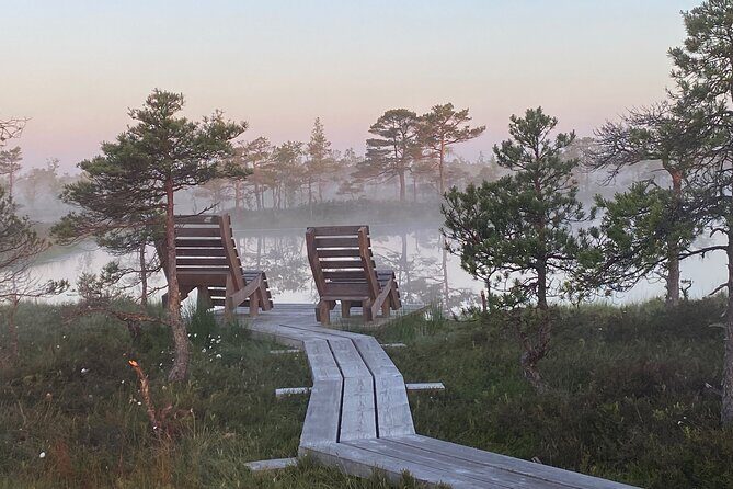 From Riga: Kemeri Bog Boardwalk and Jurmala Seaside - Who Should Consider This Tour?