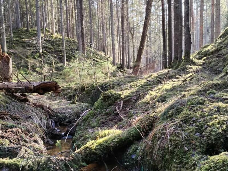 From Riga: Ligatne Village and Gauja River National Park - FAQ