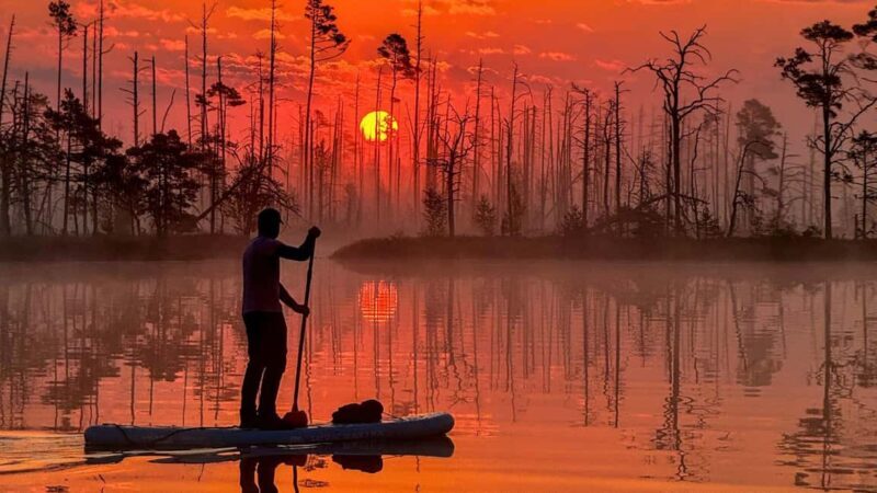 From Riga: Sunrise SUP Tour with Pick-Up at Cenas Trelis - What Makes This Tour Stand Out?