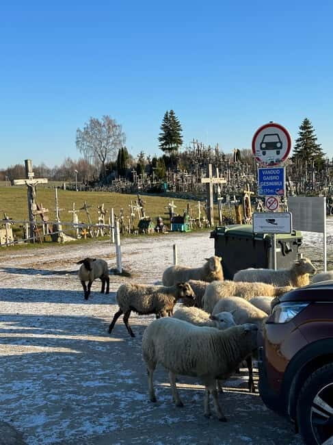 From Riga: Trip to Hill of Crosses, Rundale Palace & Bauska - Key Points