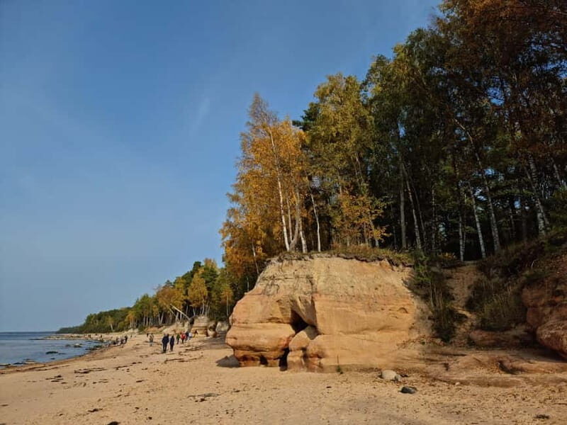From Riga: Vidzeme Coast Half-Day Trip with Lunch - Key Points
