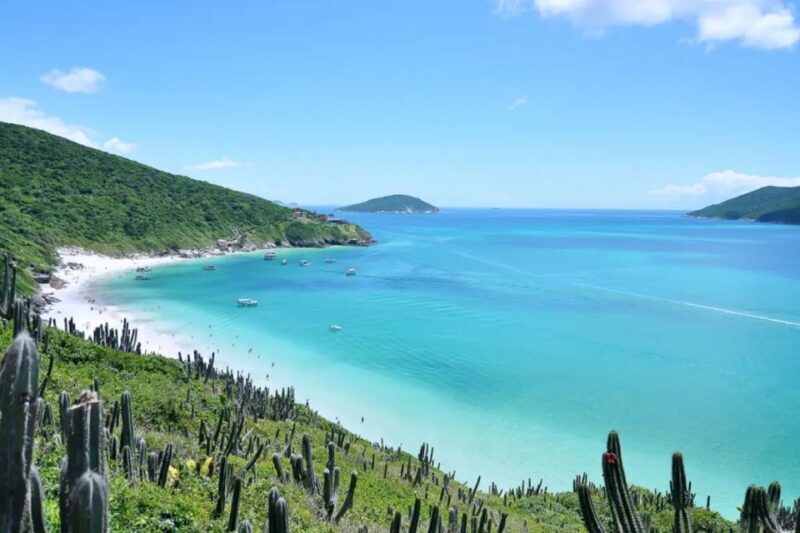 From Rio de Janeiro: Arraial do Cabo Island Day Trip - Key Points