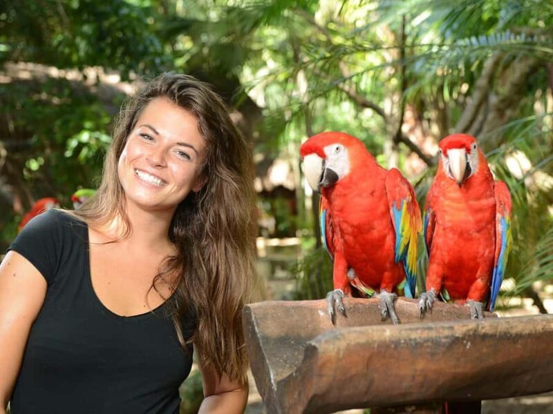 From Riviera Maya: Complete Combo to Xcaret Park! - An In-Depth Look at the Xcaret Combo Tour