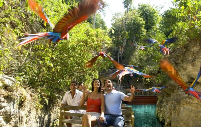 From Riviera Maya: Complete Combo to Xcaret Park! - Who is this tour best for?