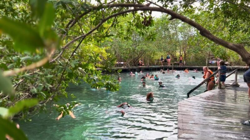 From Riviera Maya: Holbox Full-Day Tour with Lunch - Who Should Consider This Tour?