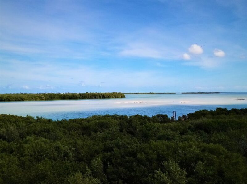 From Riviera Maya: Holbox Full-Day Tour with Lunch - The Sum Up: Who Will Love This Tour?