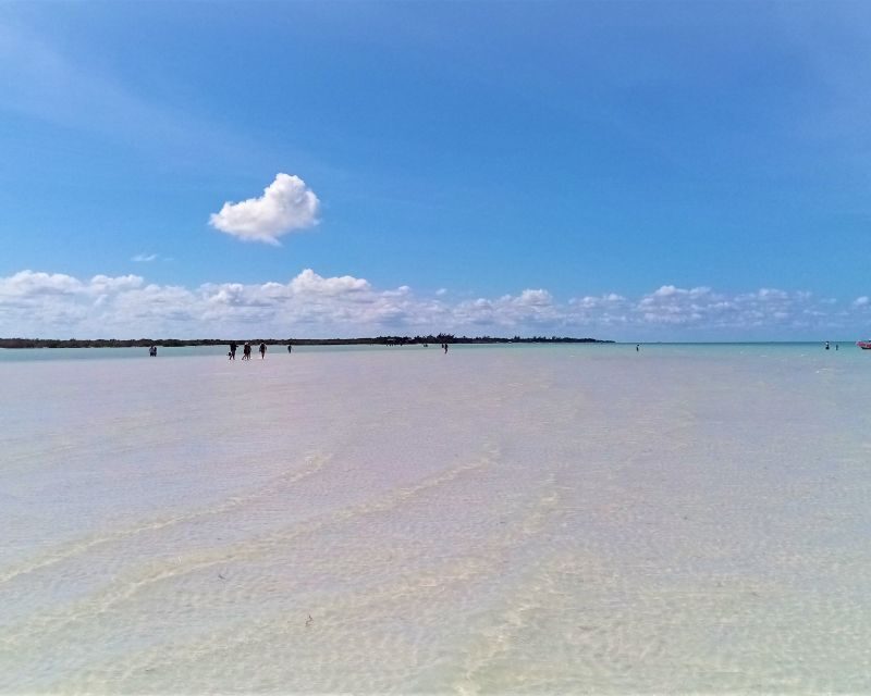 From Riviera Maya: Holbox Full-Day Tour with Lunch - FAQ