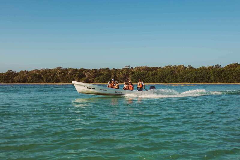 From Riviera Maya: Sian Ka'an Half Day Tour w/ Lunch - An In-Depth Look at the Sian Kaan Half-Day Tour