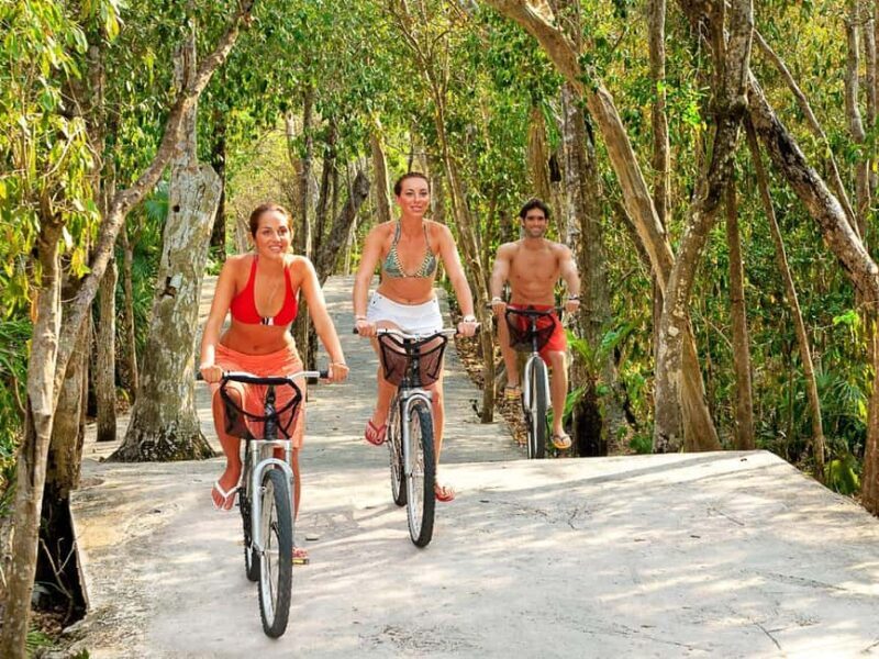 From Riviera Maya: Xel-Há All-Inclusive Park - Introduction to Xel-Há: A Natural Wonder