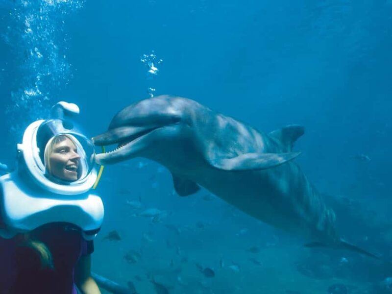 From Riviera Maya: Xel-Há All-Inclusive Park - The Experience: Authentic, Fun, and Value-Packed