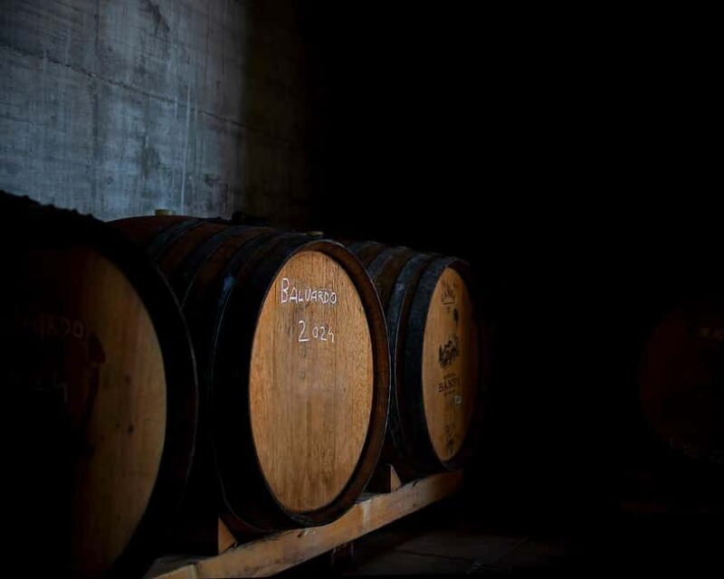 From Rome: Cantina Le Macchie Winery Tour and Tasting - Key Points