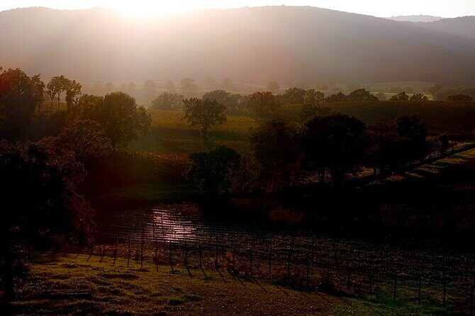 From Rome: Hidden Tuscany Day Trip with Lunch and Wine Tastings - Practical Tips & Considerations