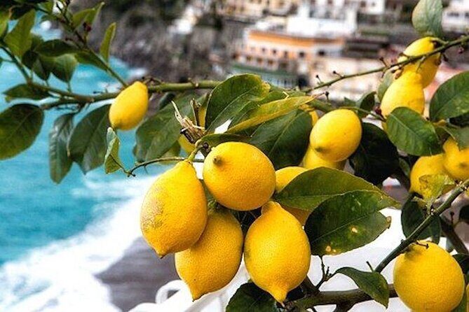 From Rome: Positano and Amalfi Coast Private Tour with Driver - The Value of This Tour