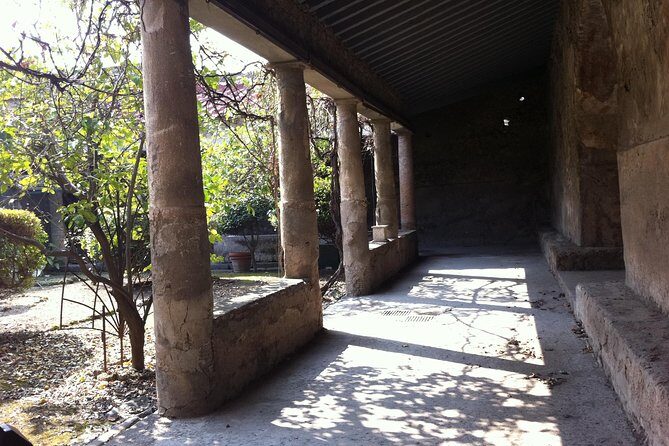 From Rome to Ostia Antica - Who Is This Tour Best For?