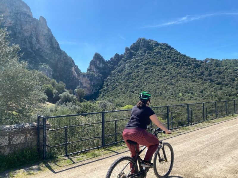 From Ronda: Via Verde de la Sierra Easy Cycling Tour - Key Points