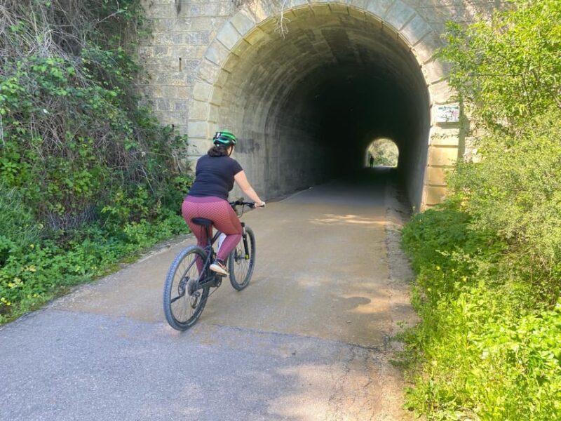 From Ronda: Via Verde de la Sierra Easy Cycling Tour - The Real Value: Why This Tour Stands Out