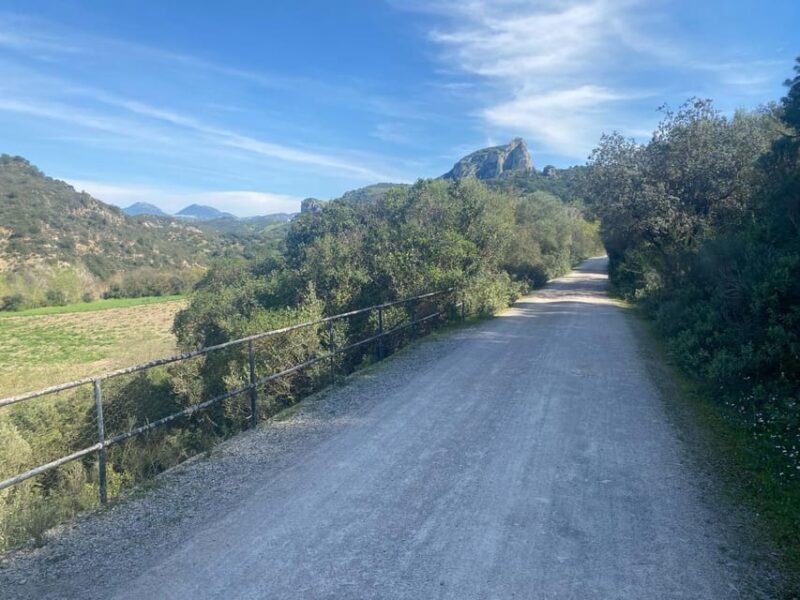 From Ronda: Via Verde de la Sierra Easy Cycling Tour - The Sum Up