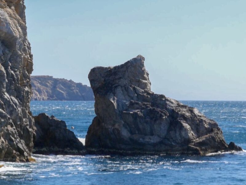 From Roses: Cap Norfeu Boat Cruise & Swimming - Key Points