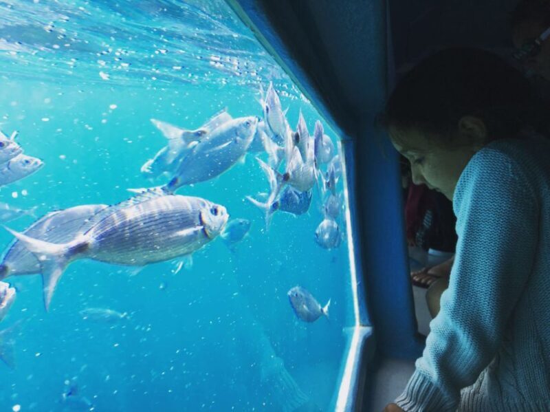 From Roses: Cap Norfeu Boat Cruise & Swimming - Setting Sail from Roses: What to Expect