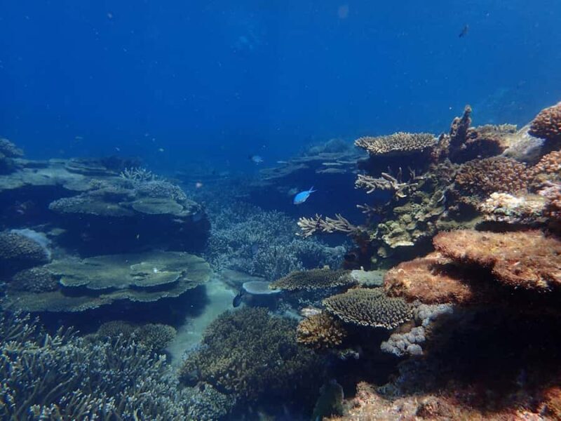 From Rosslyn: Great Keppel Island Adventure Tour with Lunch - FAQ