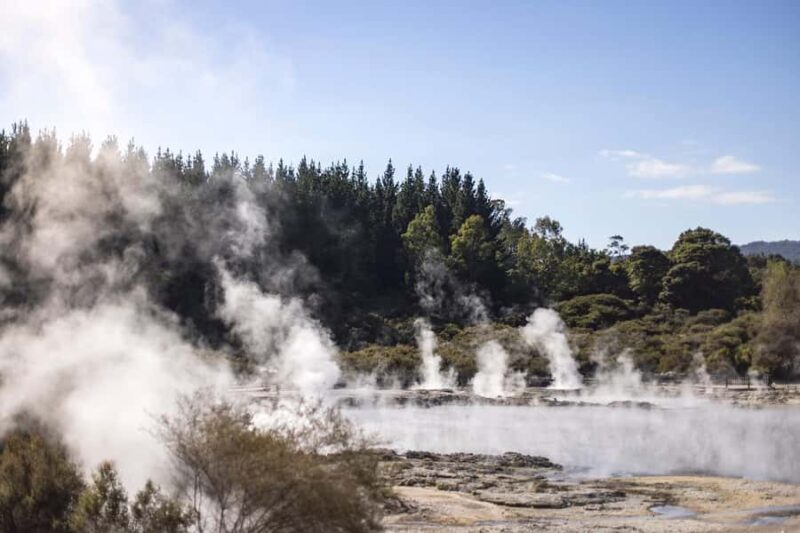 From Rotorua: HELL's GATE Geothermal MUD BATH Half Day Tour - FAQ