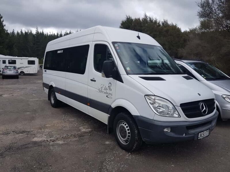 From Rotorua: Wai O Tapu & Waimangu Eco Thermal Morning Tour - Key Points