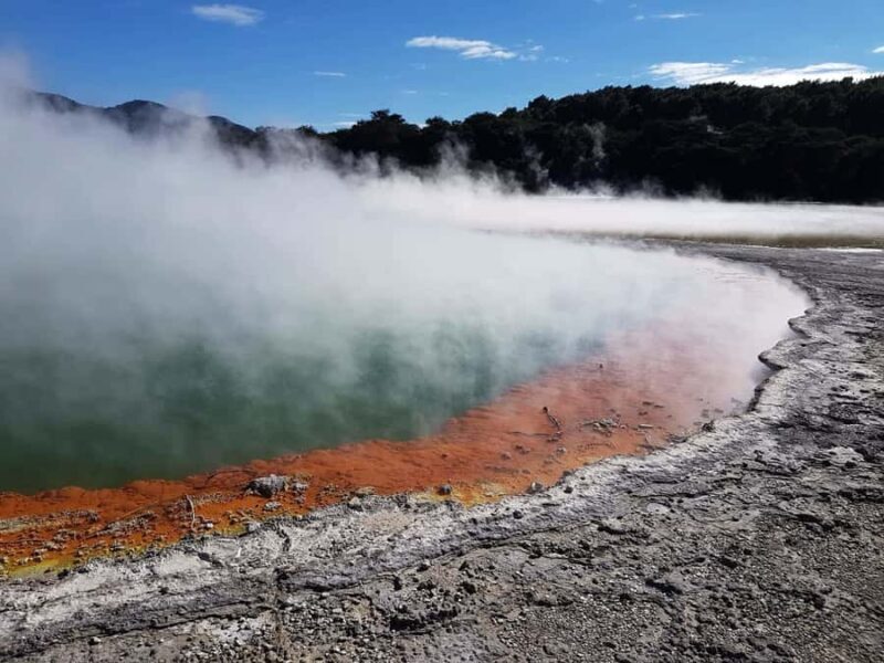 From Rotorua: Wai O Tapu & Waimangu Eco Thermal Morning Tour - An In-Depth Look at Rotorua’s Geothermal Tours