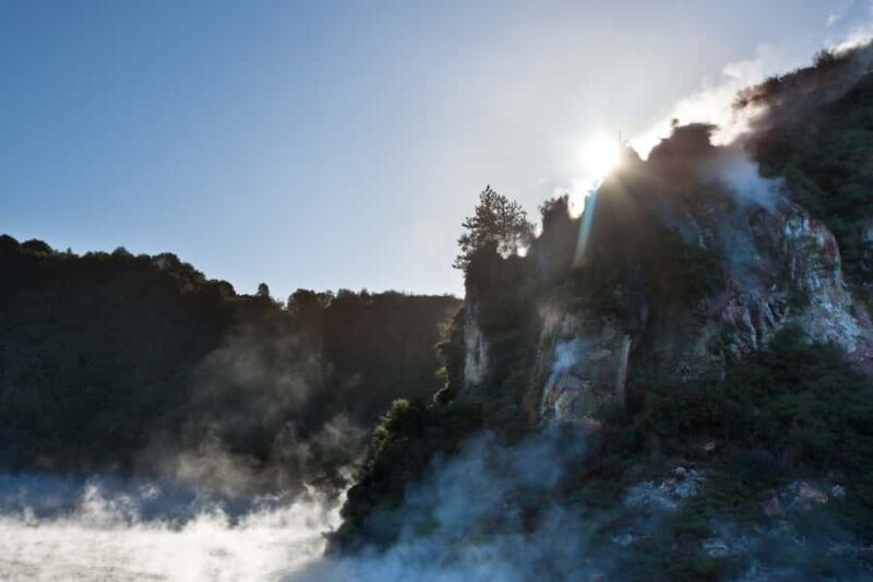From Rotorua: Wai O Tapu & Waimangu Eco Thermal Morning Tour - The Sum Up