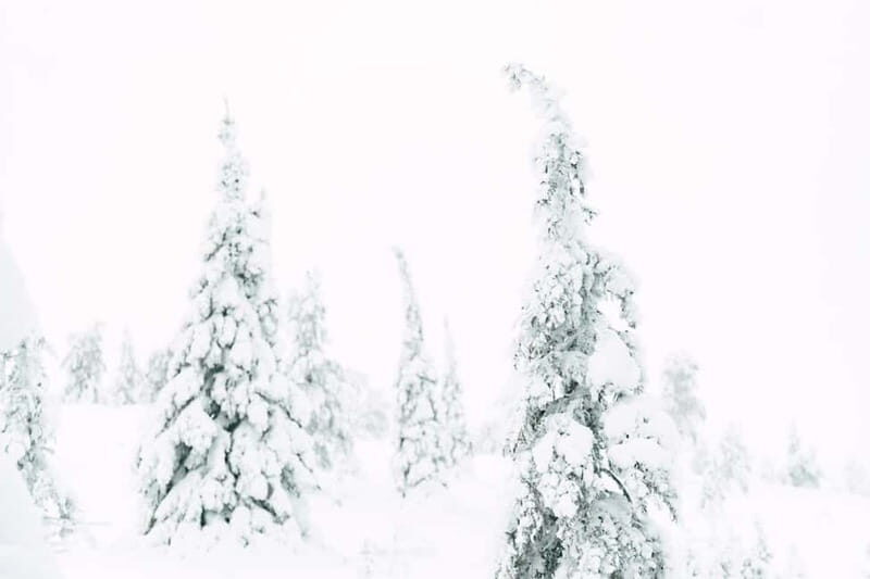 From Rovaniemi: Frozen Wonderland Riisitunturi Winter Hike - Key Points