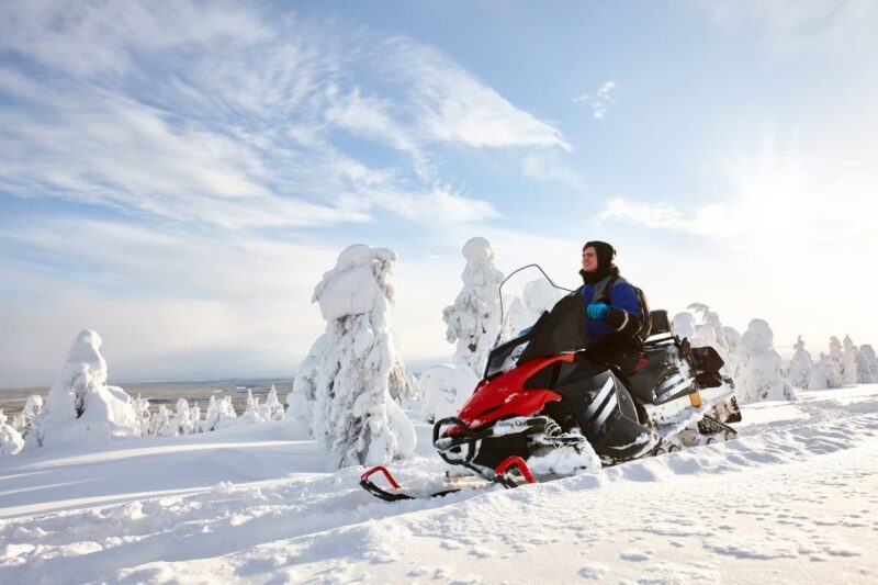 From Rovaniemi: Guided Lapland Snowmobile Adventure - Key Points