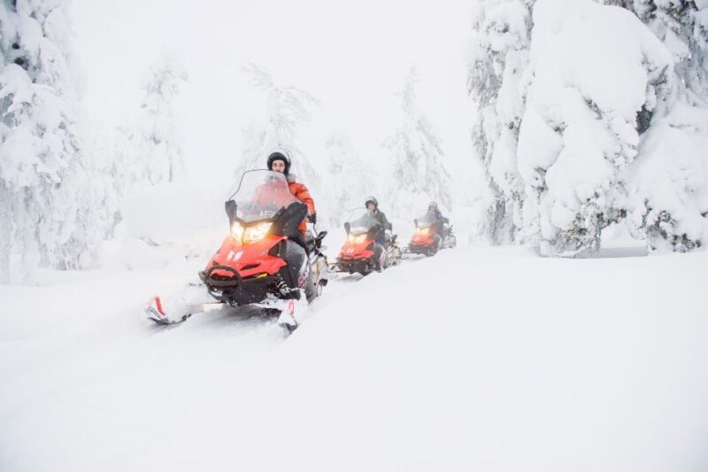From Rovaniemi: Guided Lapland Snowmobile Adventure - The Value & Who Will Love This Tour