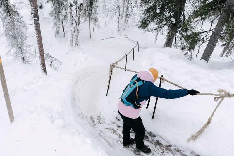 From Rovaniemi: Korouoma Frozen Waterfalls Guided Hike - Key Points