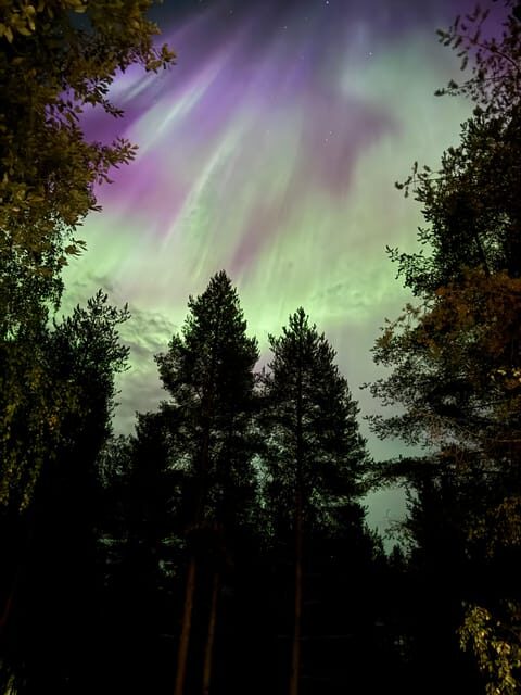 From Rovaniemi: Northern Lights Tour with Campfire Snacks - Key Points