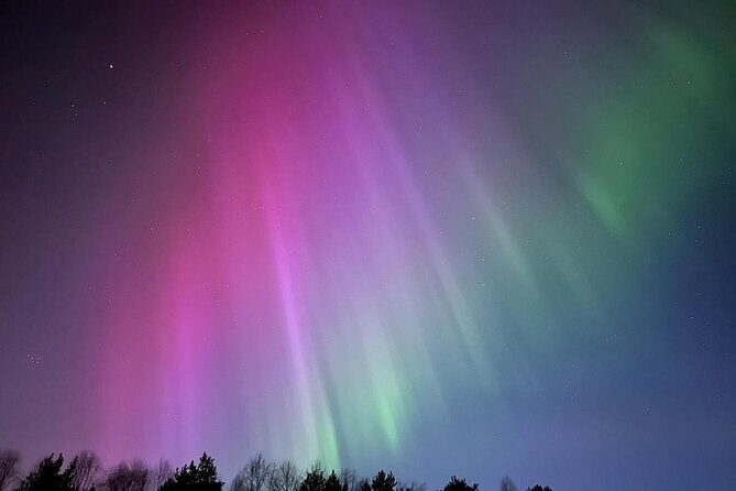 From Rovaniemi: Northern Lights Tour with Campfire Snacks - What makes this tour stand out?