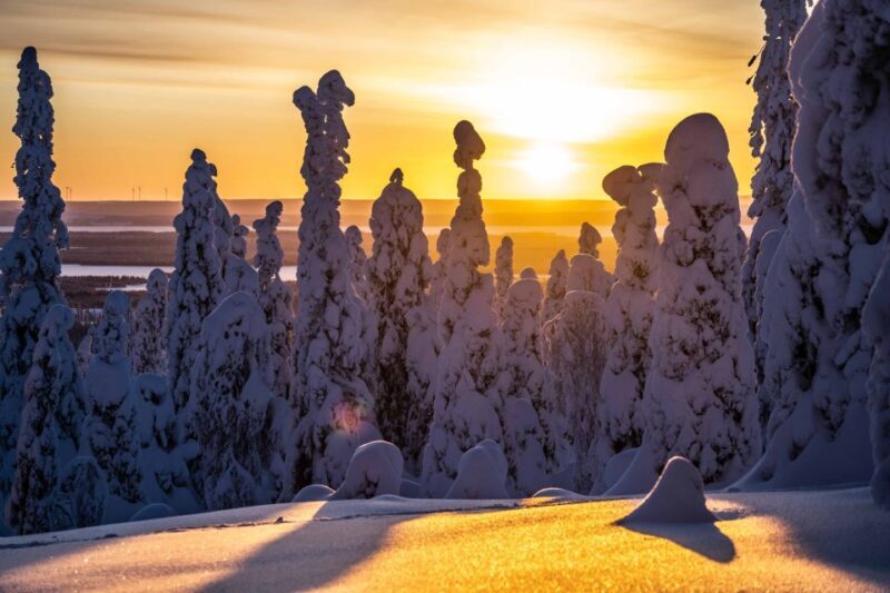 From Rovaniemi: Riisitunturi Full-Day Wilderness Adventure - What to Expect During the Day